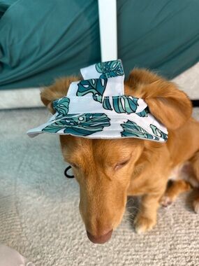 White and Teal Leaf Print Dog Sun Visor - Pet Hat